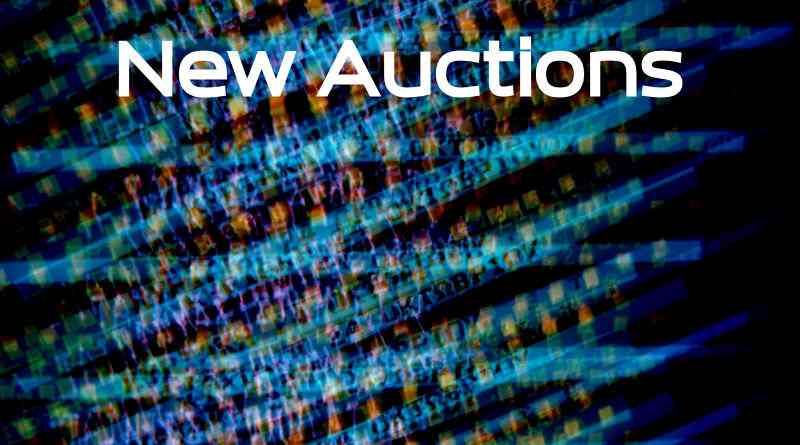 New Domain Auctions